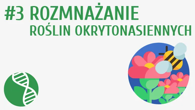 Zdjęcie Jak rozmnażają się rośliny okrytonasienne - sekrety ich cyklu życia