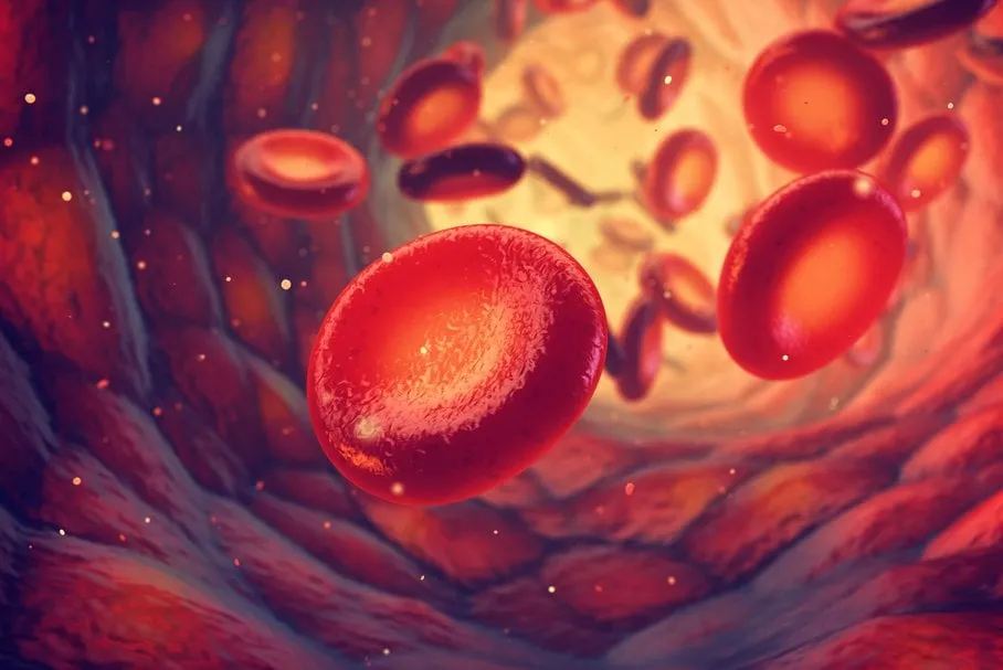Zdjęcie Co to MCH w badaniu krwi? Klucz do zdrowia i diagnozy hemoglobiny