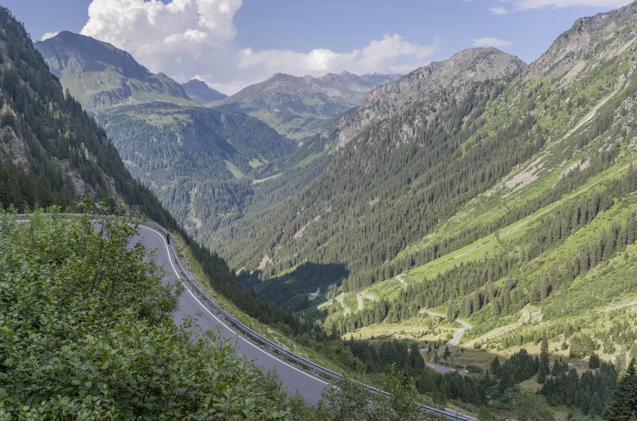 Zdjęcie Najlepsza trasa do Wiednia: uniknij korków i ciesz się widokami