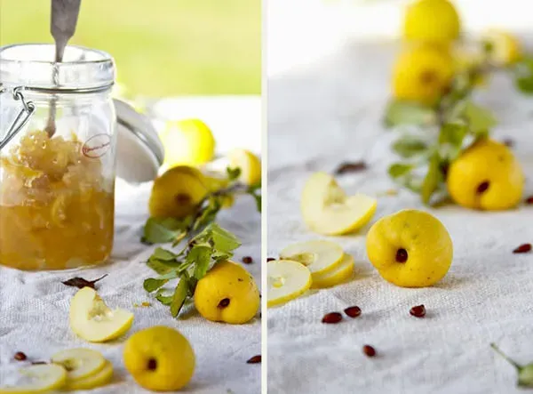 Zdjęcie Kiedy jest sezon na pigwę i jak najlepiej zbierać te owoce?