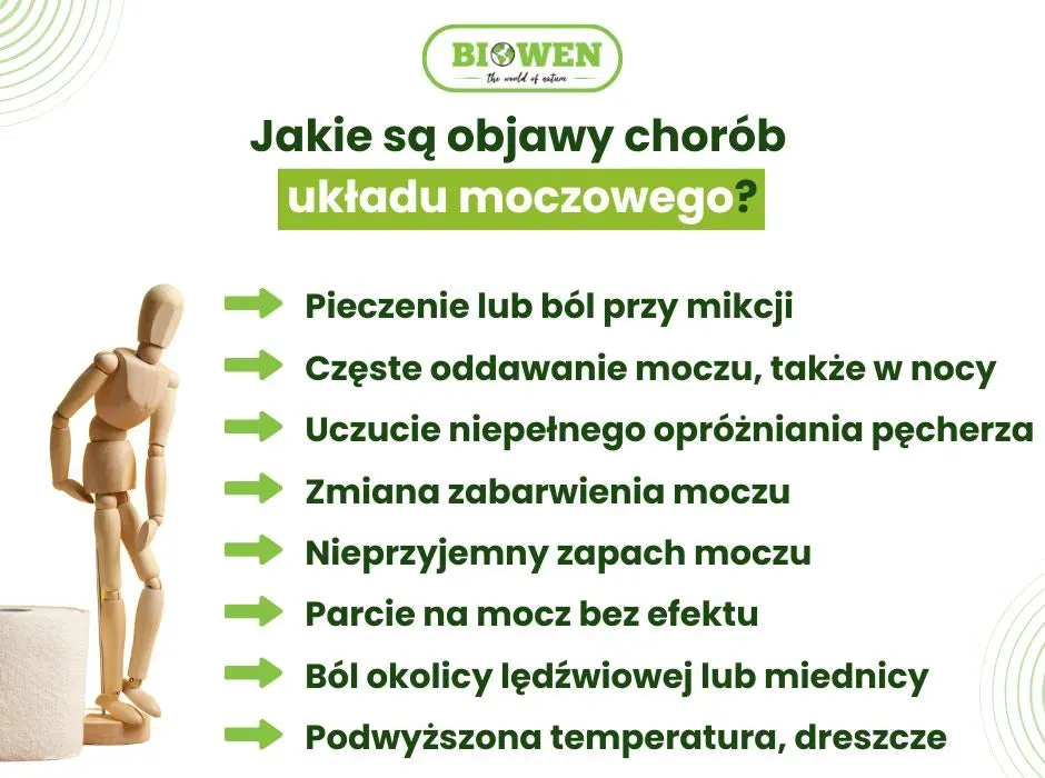 objawy chorób układu moczowego infografika