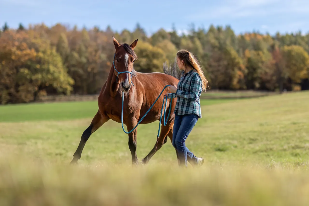 Ludzie pracujący z końmi
