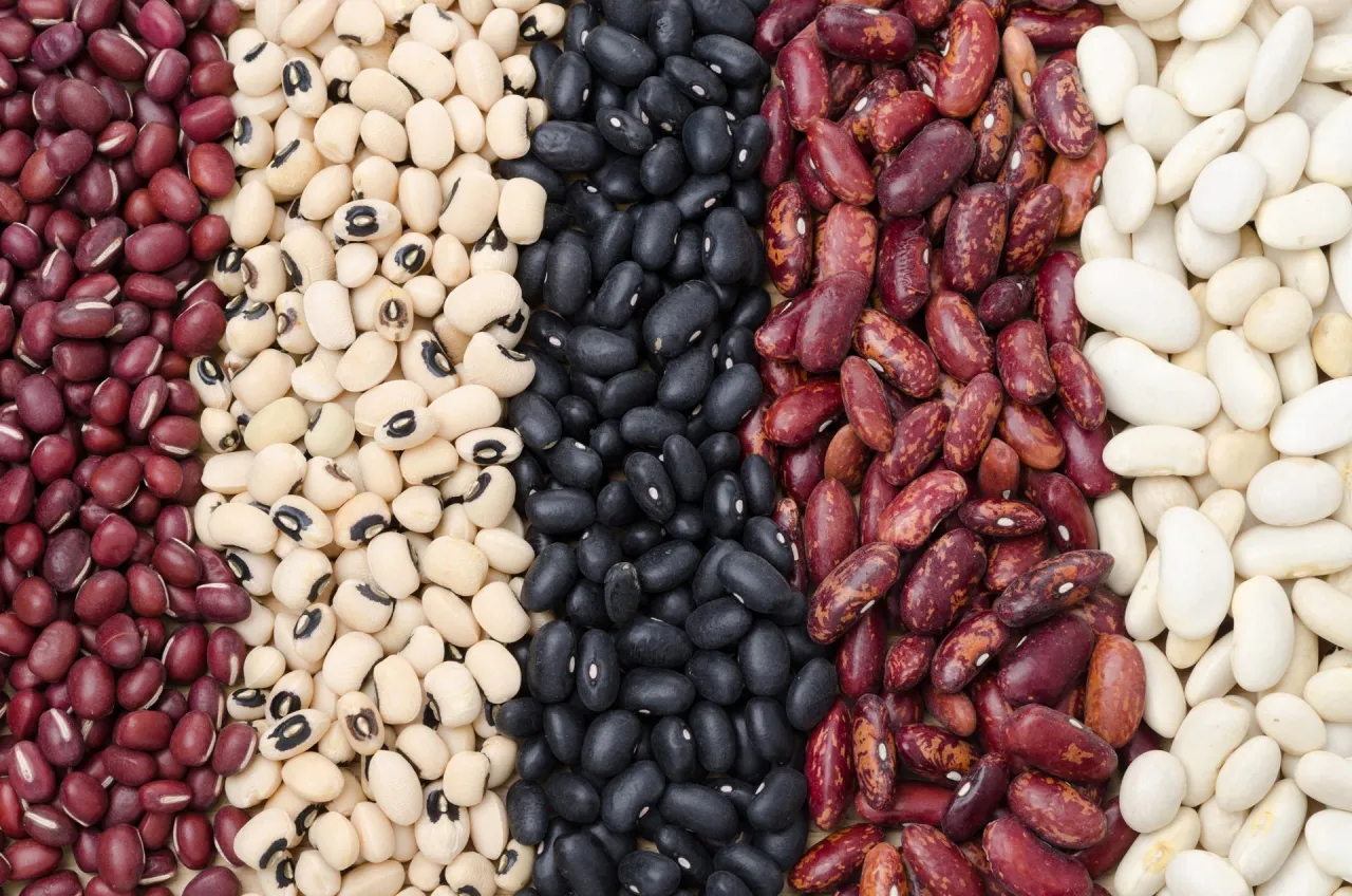 Tipi di fagioli per minestra borlotti cannellini secchi freschi