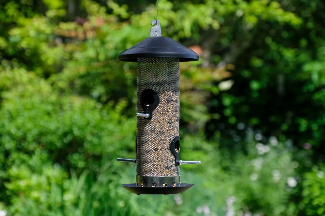 karmnik dla wr&oacute;bli z nasionami