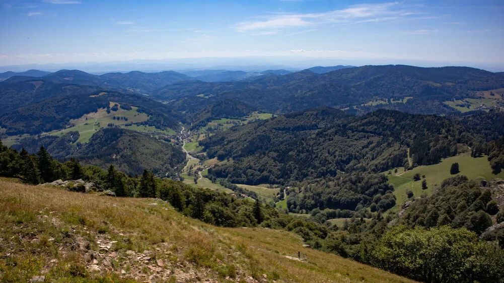 Belchen Schwarzwald Panorama