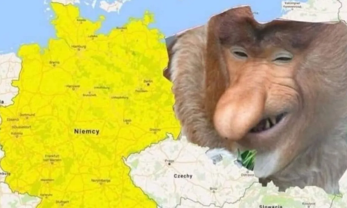 Zdjęcie Jak tam somsiedzie Niemcy? Zabawne memy i reakcje po porażce