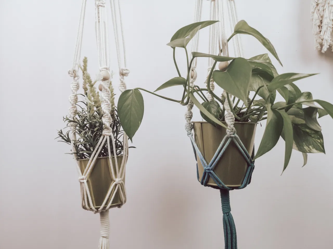 Dwa kwietniki ze sznurka, jeden z zieloną rośliną, drugi z ziołami. Idealne, by pokazać, jak zrobić kwietnik ze sznurka.