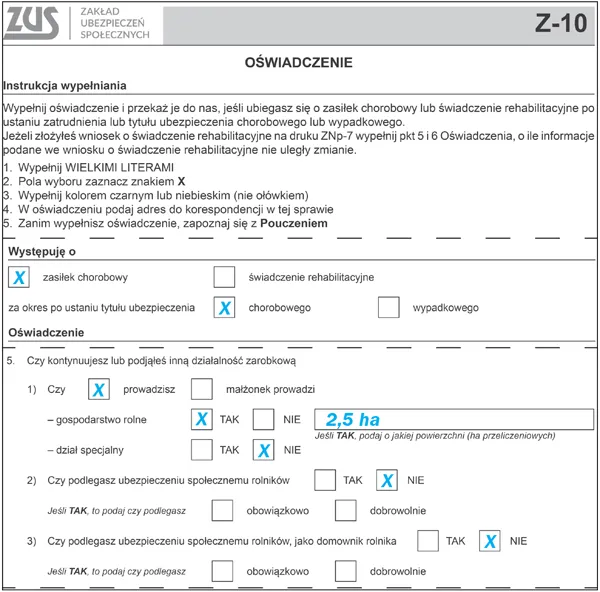 Zdjęcie Jak wypełnić wniosek o świadczenie rehabilitacyjne: Kompletny poradnik