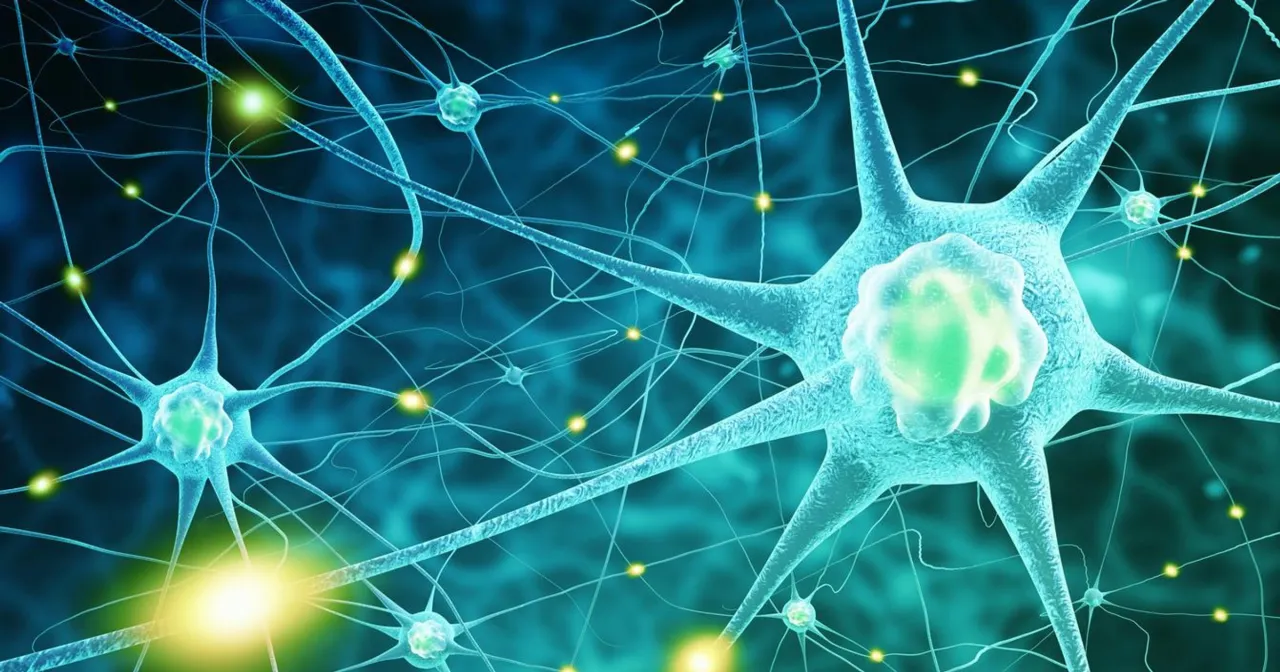 Mózg człowieka, neurony, genetyka, czynniki środowiskowe wpływające na zdrowie psychiczne