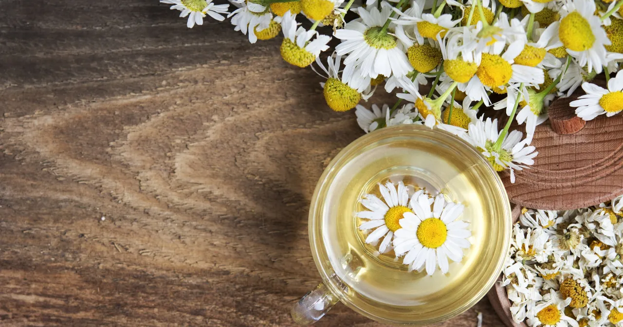 Ciepły okład na twarz lub ziołowe płukanki szałwia rumianek