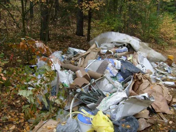 dzikie wysypisko śmieci w lesie