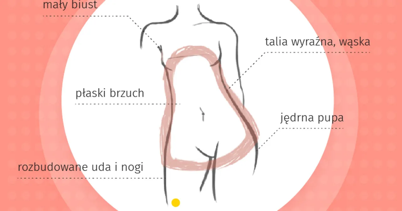 Typy sylwetek kobiecych infografika