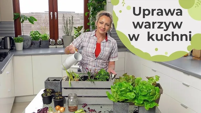 regrowing warzywa dom