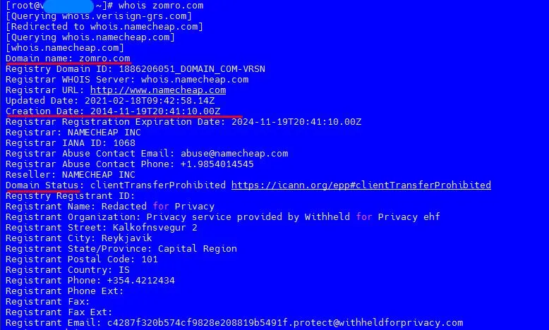 Panel WHOIS przykład danych domeny