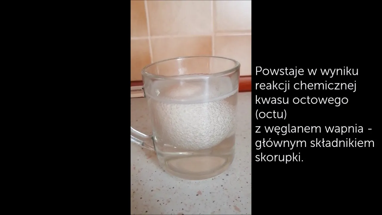 reakcja kwasu octowego z węglanem wapnia bąbelki jajko
