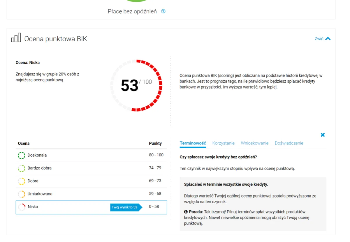 przykładowy scoring bik wykres