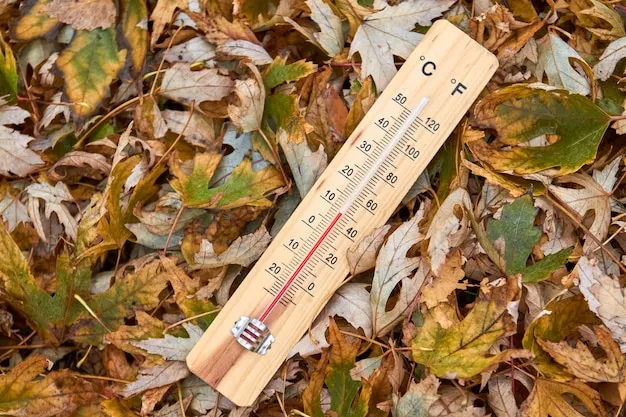 termometr zewnętrzny jesień
