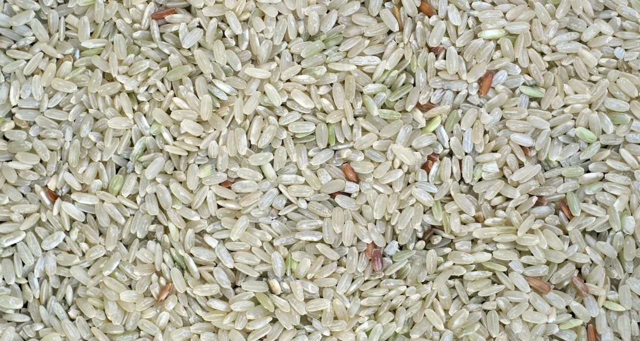 r&oacute;żne rodzaje ryżu dla psa