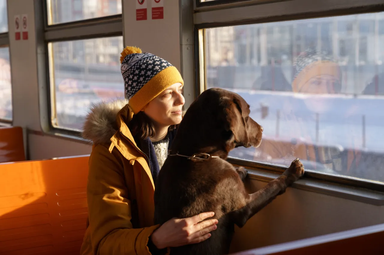 pies w pociągu regionalnym