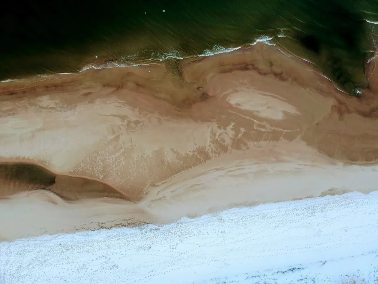 Odsłonięte dno morskie Bałtyku po niskim stanie wody