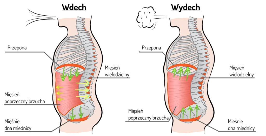 błędy w oddychaniu przeponowym
