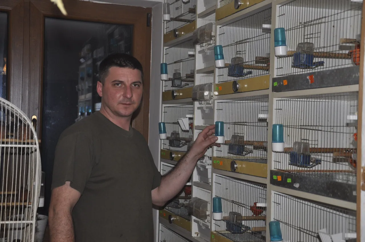 kalendarz hodowcy kanark&oacute;w światło dzienne