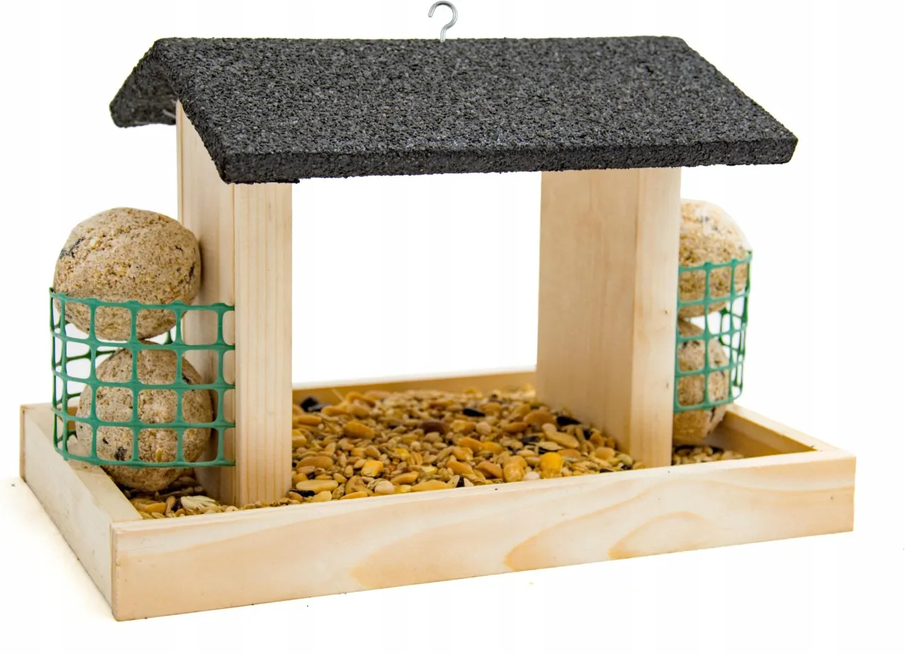 bezpieczne pokarmy dla ptaków karmnik