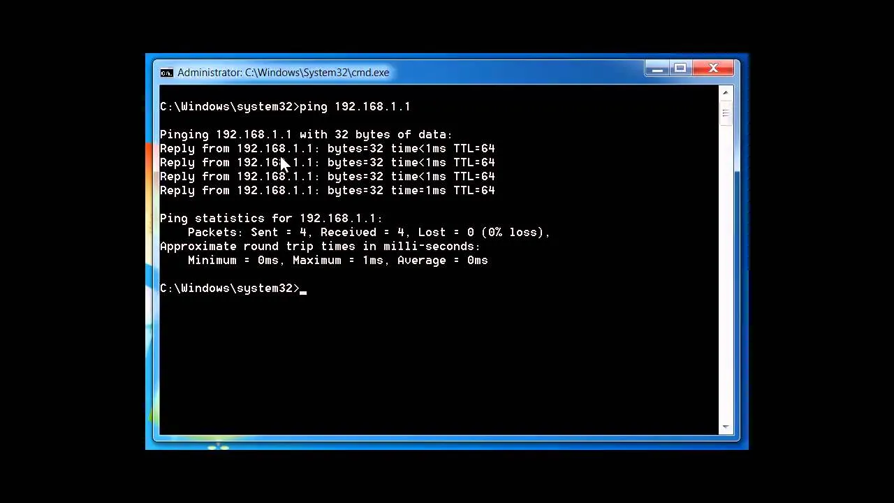 Command prompt with ping and nslookup results