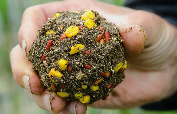 przynęty i zanęty na lina