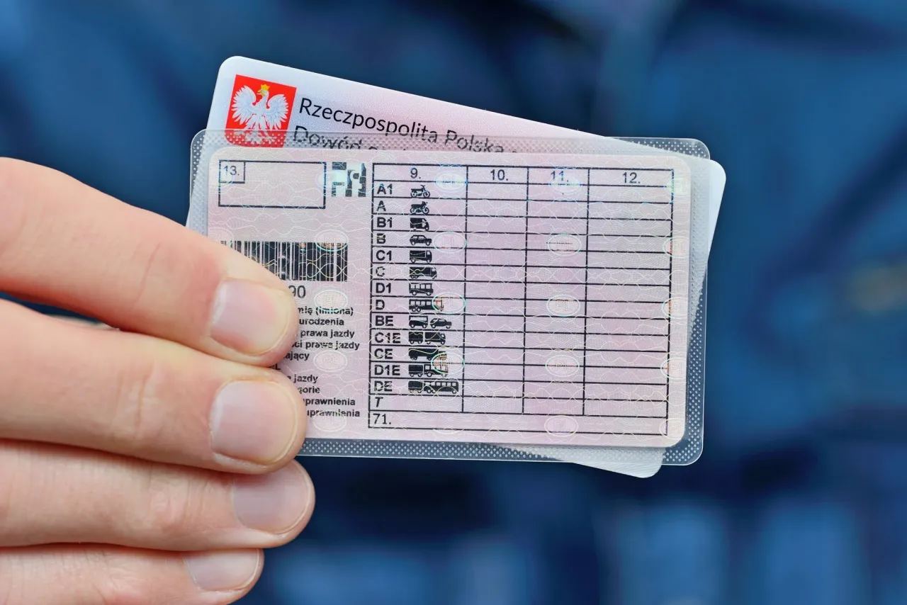 Dłoń trzyma polskie prawo jazdy, na którym widać kategorie pojazdów. Zastanawiasz się, jakie prawo jazdy na motor? Kategoria A lub A1.