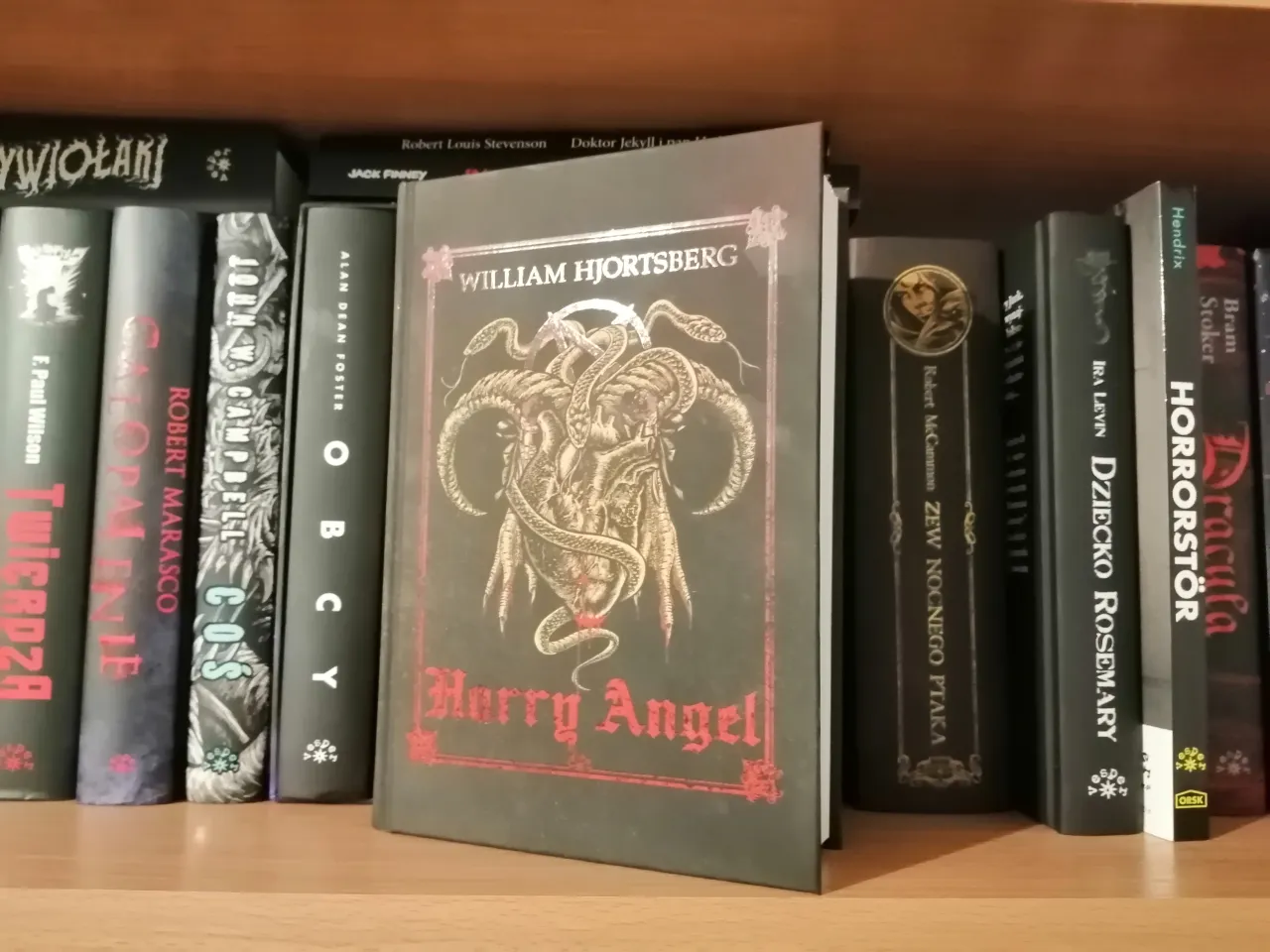 Okładka książki Harry Angel Falling Angel