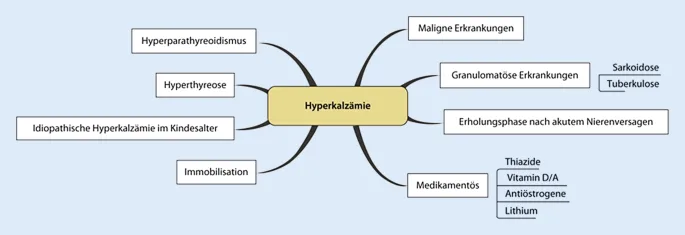 Hyperkalz&auml;mie Nieren