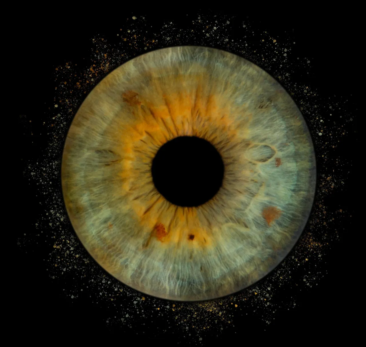 kreatywne zdjęcie tęczówki oka