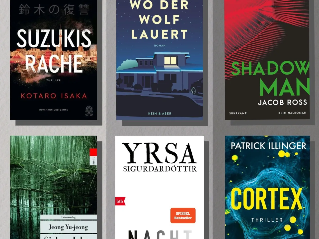 Internationale Thriller Autoren Bestseller B&uuml;cher