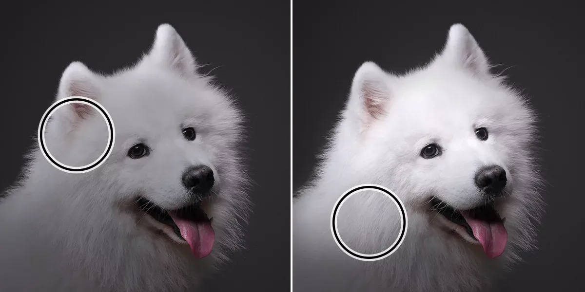 Photoshop porównanie efektów rozjaśniania tła krzywe poziomy dodge tool