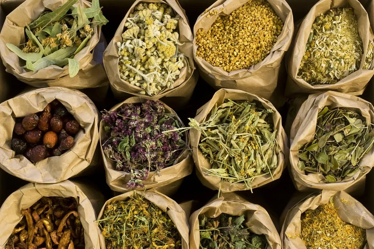 różne zioła na skórę, suszone zioła do picia