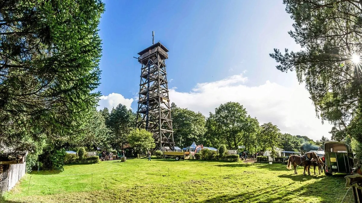Aussicht vom Elbblickturm Wildpark Schwarze Berge Hamburg
