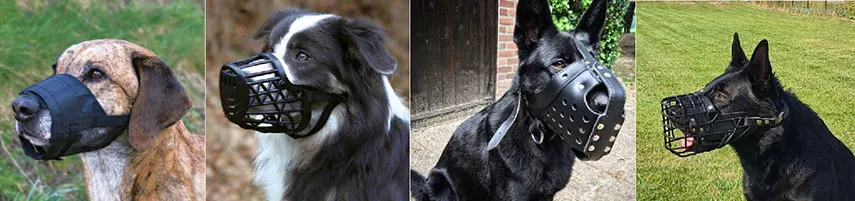 Rodzaje kagańców dla psów porównanie