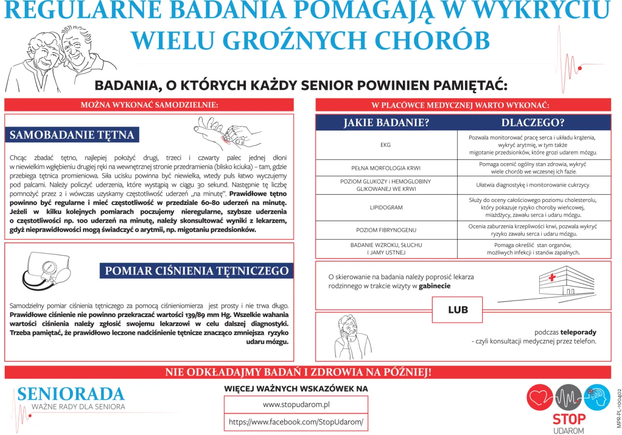 Profilaktyka udaru m&oacute;zgu infografika