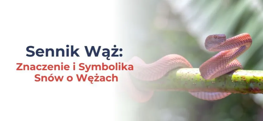 Kolory węży w snach symbolika