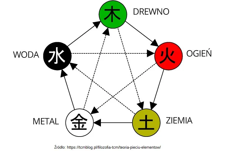 schemat pięciu praw natury germańskiej nowej medycyny