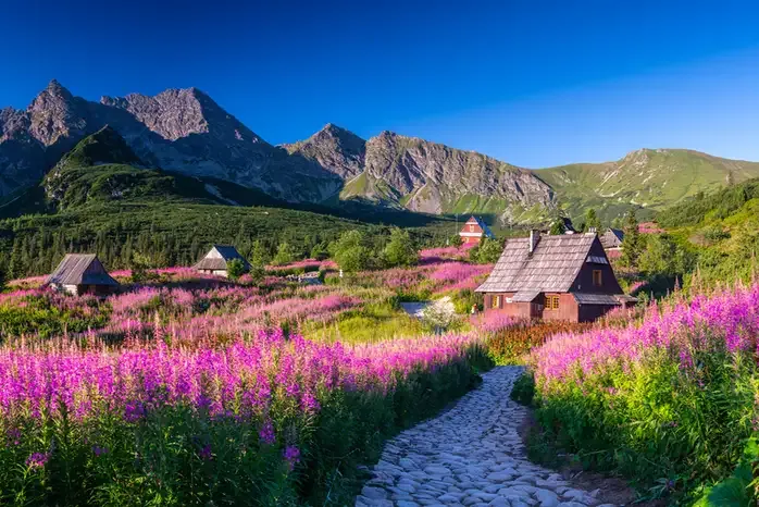 polskie g&oacute;ry krajobraz lato trekking