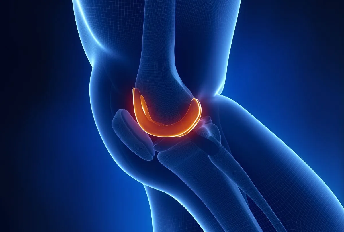 Budowa chrząstki stawowej i jej uszkodzenia