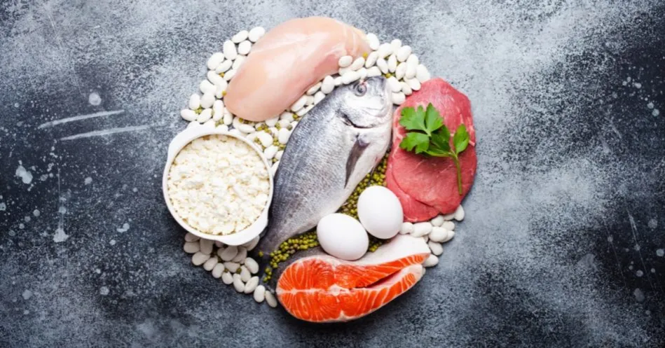 różne źródła białka na talerzu