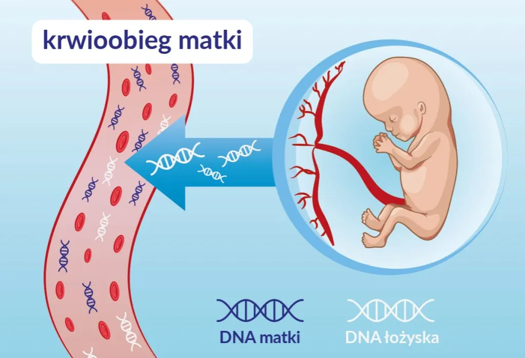Test NIPT jak działa