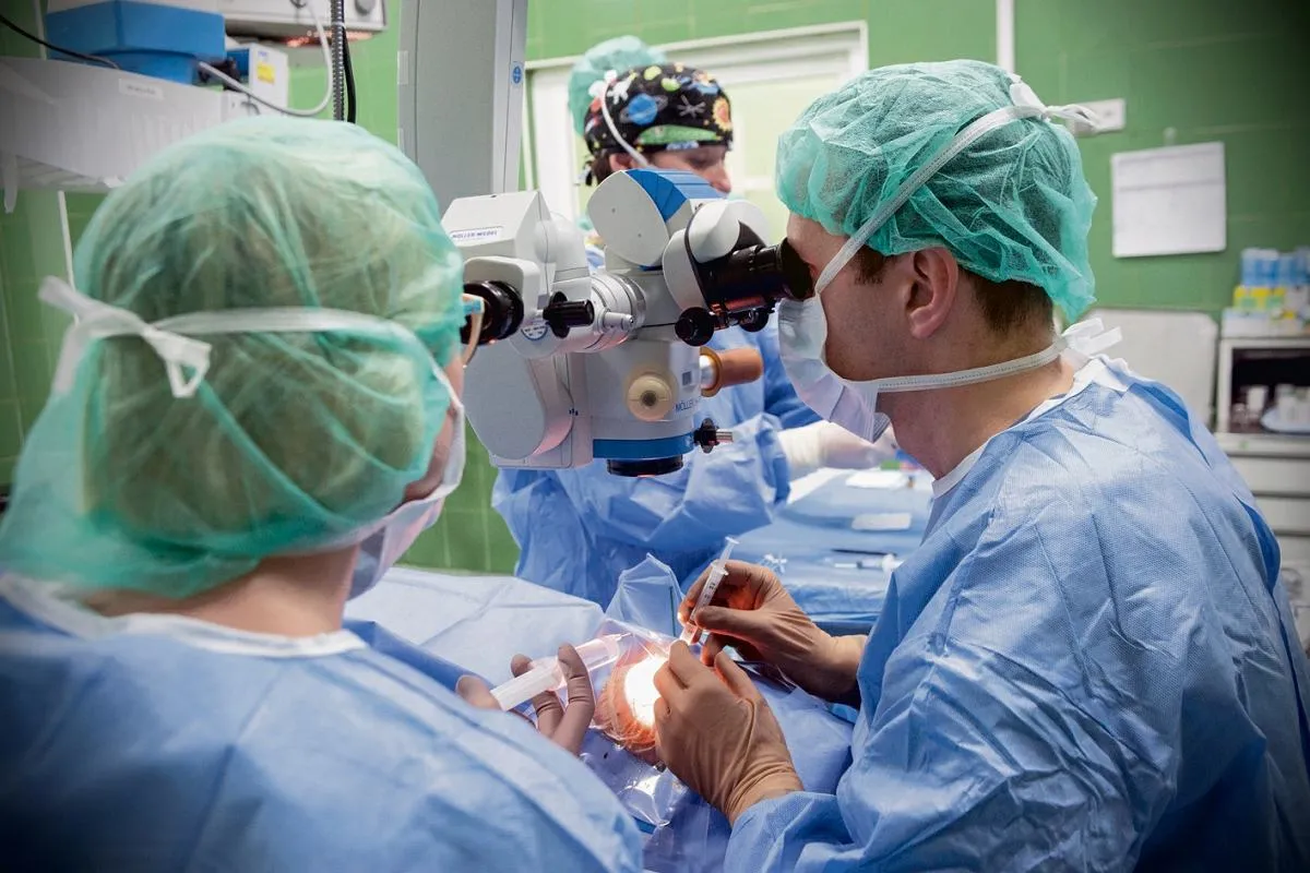 jaskra czynniki ryzyka infografika