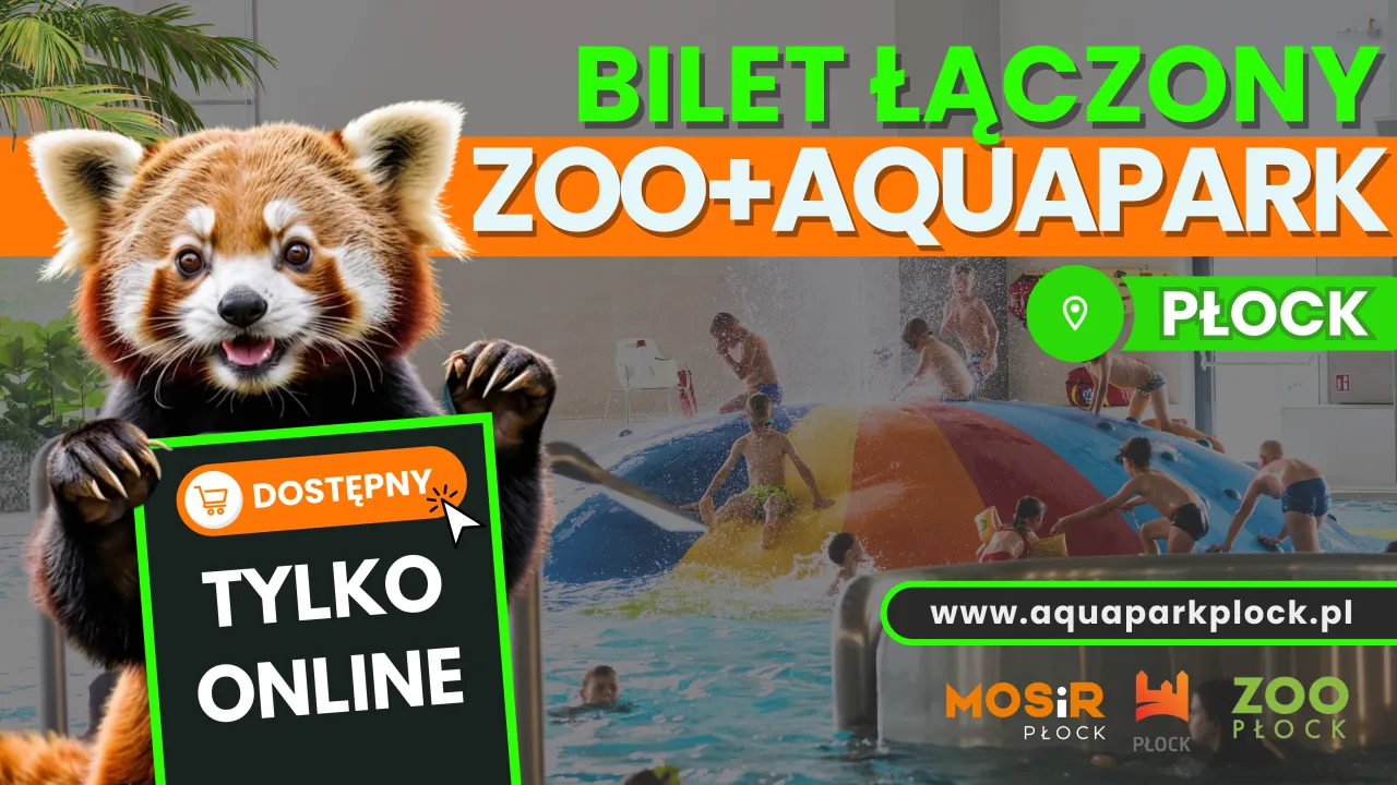 Płock atrakcje dla dzieci zoo bulwary