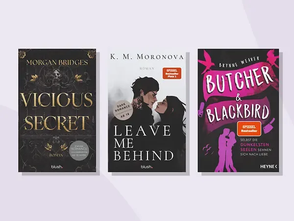 Dark Romance Bestseller B&uuml;cher
