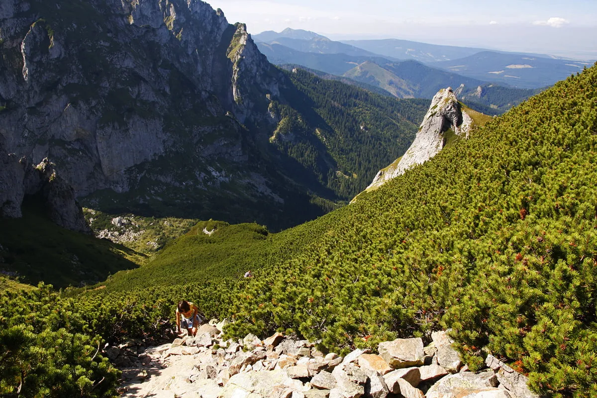 Wędrowiec wspina się kamienistym szlakiem przez gęste kosodrzewiny w malowniczej dolinie małej łąki, otoczonej skalistymi szczytami.