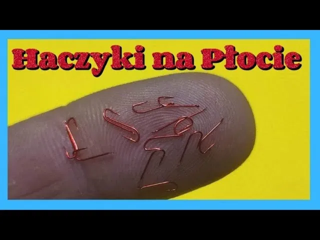 Przynęty na płoć i odpowiednie haczyki